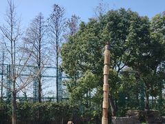 -上海野生动物园老虎餐厅