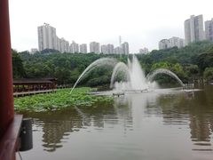 -龙头寺公园
