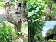 -乌村