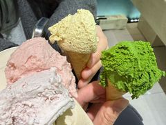 -鹤茶野所(上海首店)