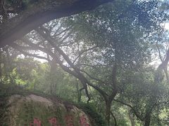 -青芝山风景名胜区