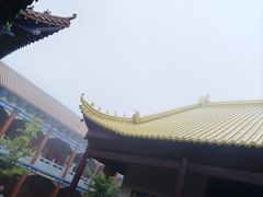 -长沙黑麋峰国家森林公园