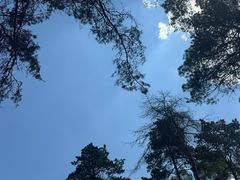 -黑龙江省森林植物园
