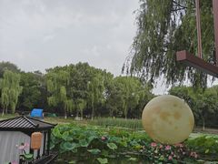 -北陵公园