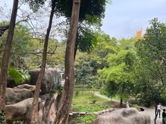 -深圳国际园林花卉博览园