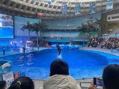 -海合安成都极地海洋公园