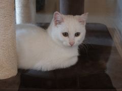 -Me Coffee下午茶艺术空间