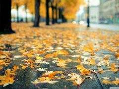 -四川大学(华西校区)