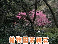 -杭州植物园