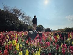 -厦门园林博览苑