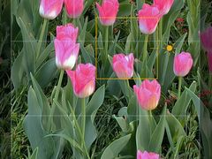 -玄武湖景区-情侣园游乐场