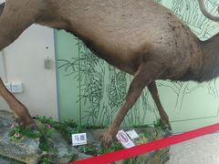 -北京中医药大学-中医药博物馆