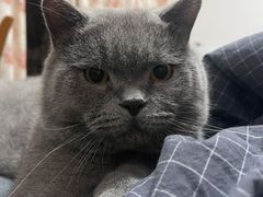 -爱侣宠医·鹦鹉专科·小型哺乳类·异宠专科(灵石路店)