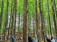 -山王坪喀斯特国家生态公园