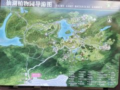-深圳仙湖植物园