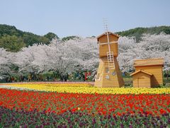 -苏州上方山国家森林公园