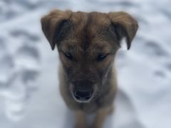 -太子岭滑雪场