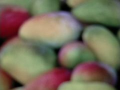 -港华水果街(港华广场店)