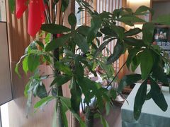 -宸玥酒店(成都西南财大地铁站店)