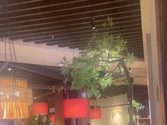 -老阿爸鲜鱼土菜(园区永旺店)