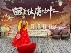 -圣爵菲斯大酒店(长沙世界之窗店)