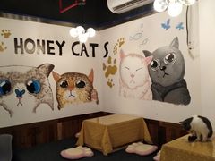 -猫爷宠物生活馆·撸猫馆