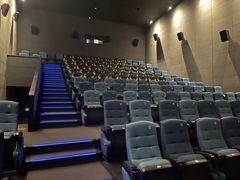 -CGV影城(壹方城IMAX店)
