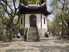 -上海佘山国家森林公园天马山园