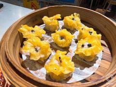 -点都德·毕德寮