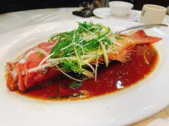 东星斑-凤城礼记鱼翅海鲜酒家(新马路总店)