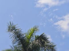 -瑞幸咖啡(沙河世纪广场一层店)