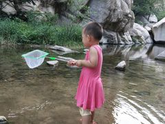 -碓臼峪自然风景区