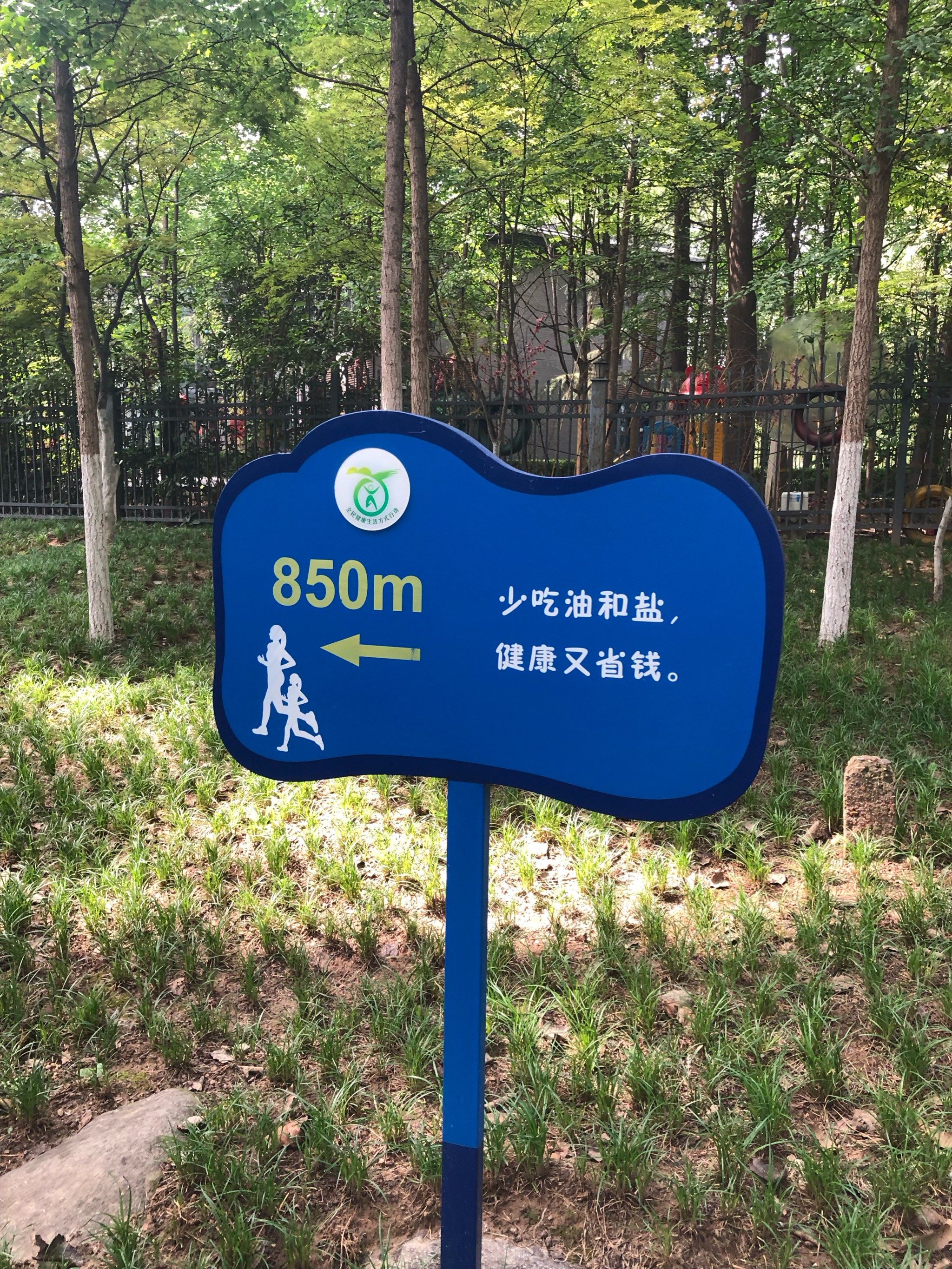 活力满满公园行
