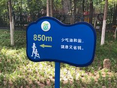 -西安市长乐公园