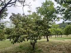 -青州市云门山风景区