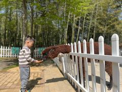 -天目湖涵田度假村