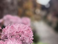 -乌江画廊(彭水苗族土家族自治县)