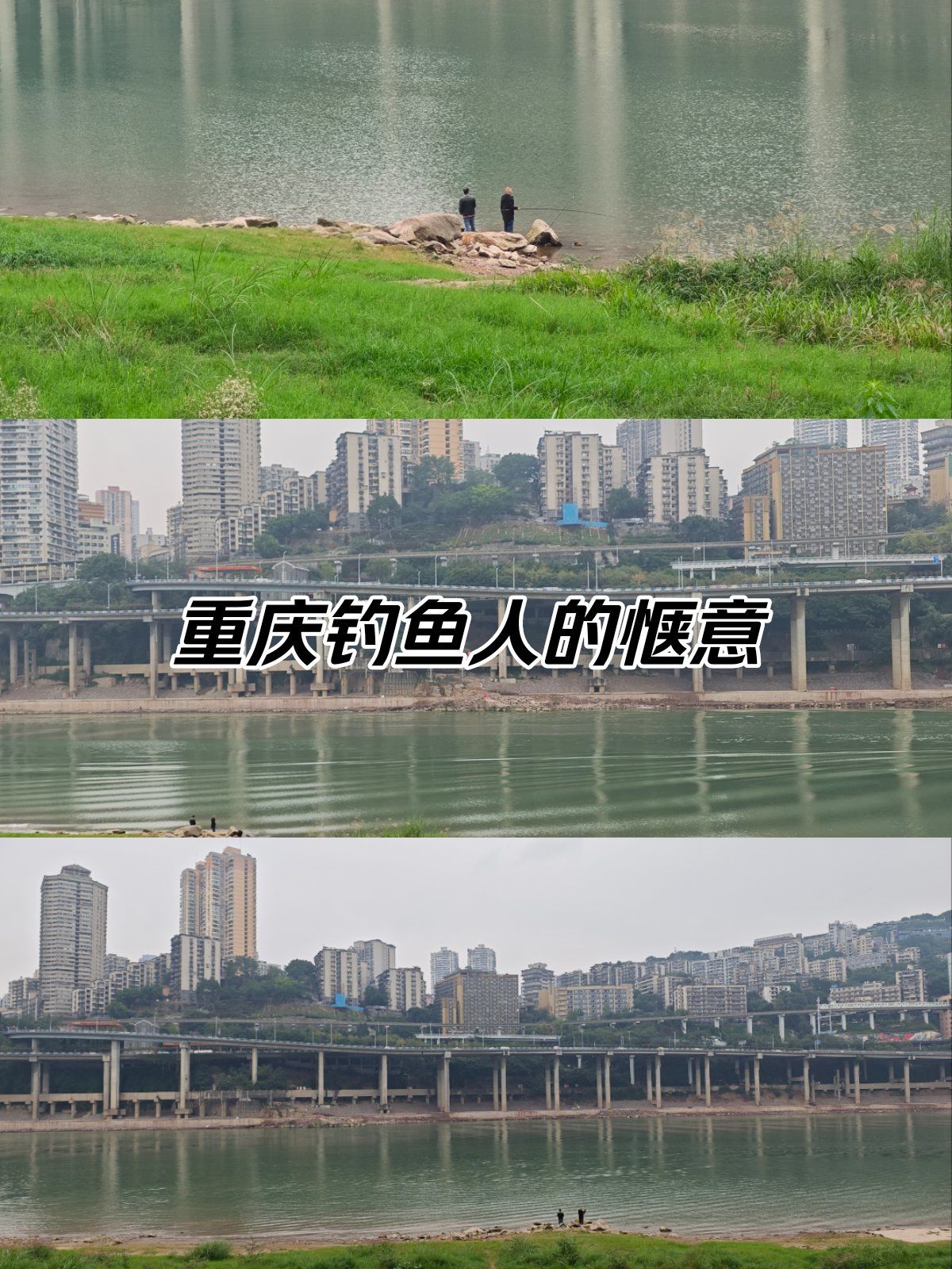 重庆人民爱钓鱼