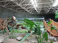 -中国第四纪冰川遗迹陈列馆