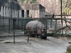 -成都动物园
