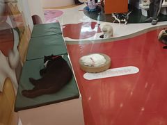 -天虹购物中心(深圳龙华店)