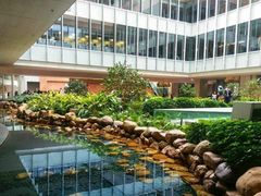 -香港大学