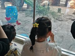 -石家庄市动物园