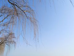 -楼外楼(西湖景区孤山路店)