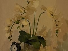 -汤臣海派理疗公馆
