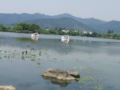 -长田漾湿地公园