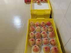 -老袁家蜜桃农场·阳山水蜜桃