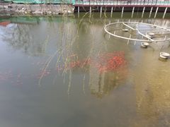 -贮水山儿童公园
