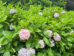 -观山湖公园