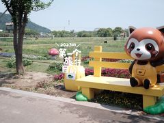 -苏州太湖西山岛开心农场